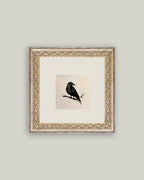 Crow Framed Antique Art: 9x9