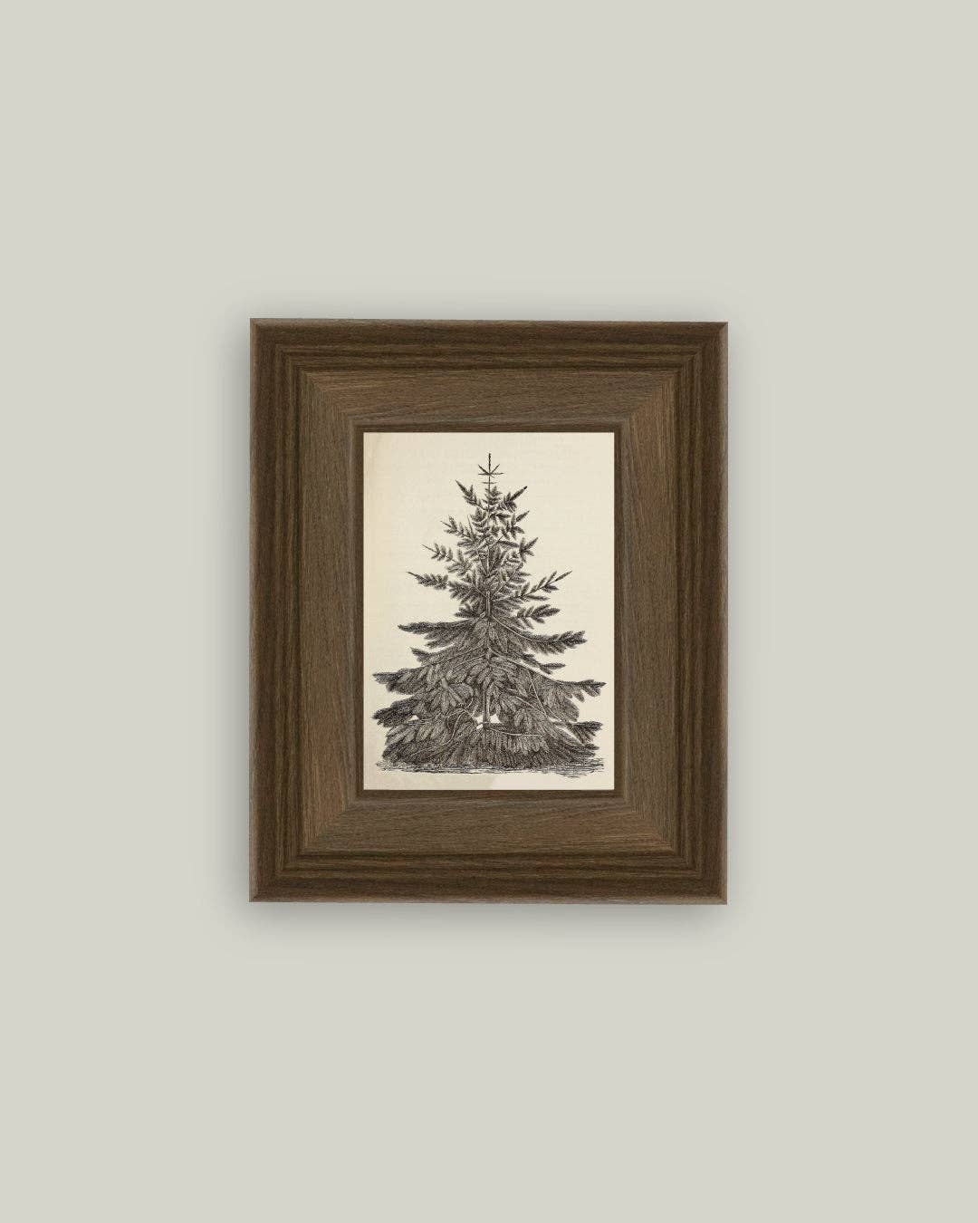 Vintage Pine Tree Framed Antique Art: 5x7