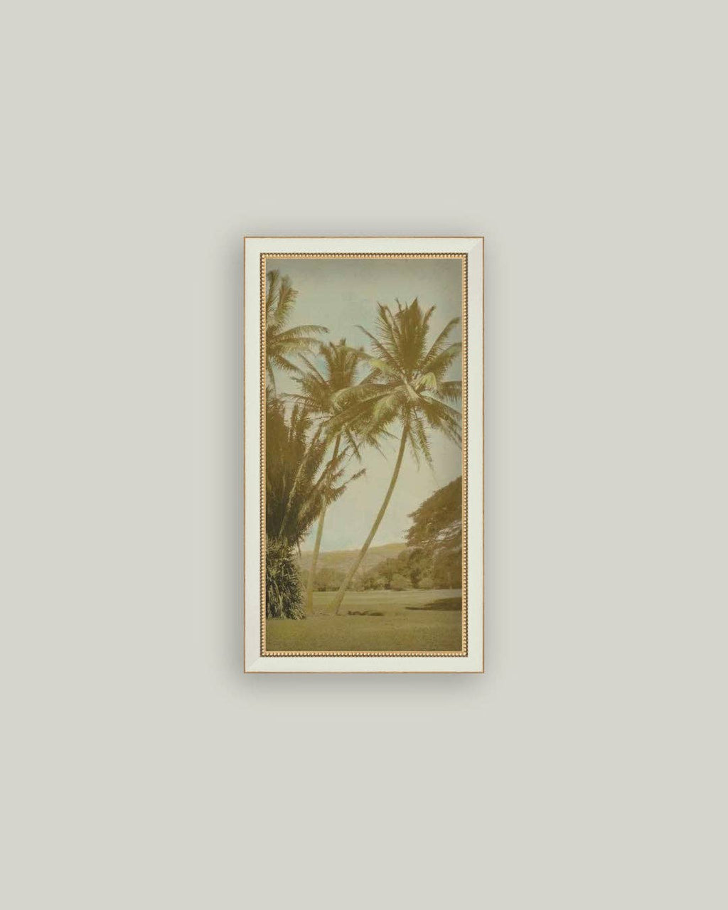 Vintage Palm Tree Photo: 10x19