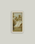 Vintage Palm Tree Photo: 10x19