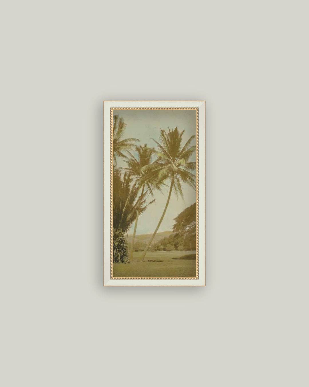 Vintage Palm Tree Photo: 10x19