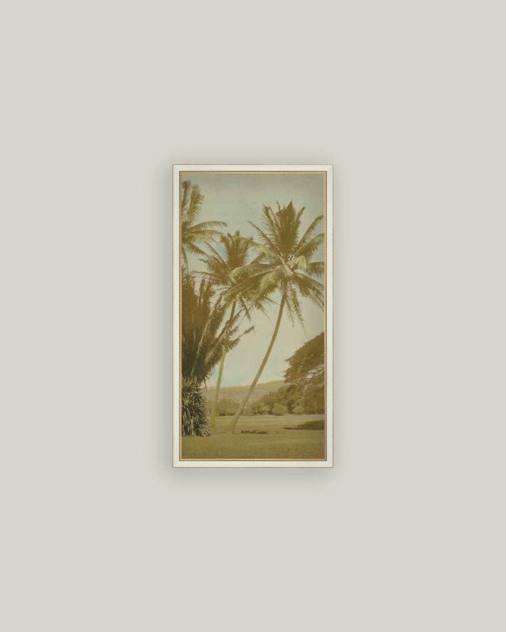 Vintage Palm Tree Photo: 10x19