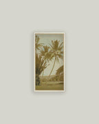 Vintage Palm Tree Photo: 10x19