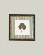 Clover on Stripes Framed Antique Art: 6x6