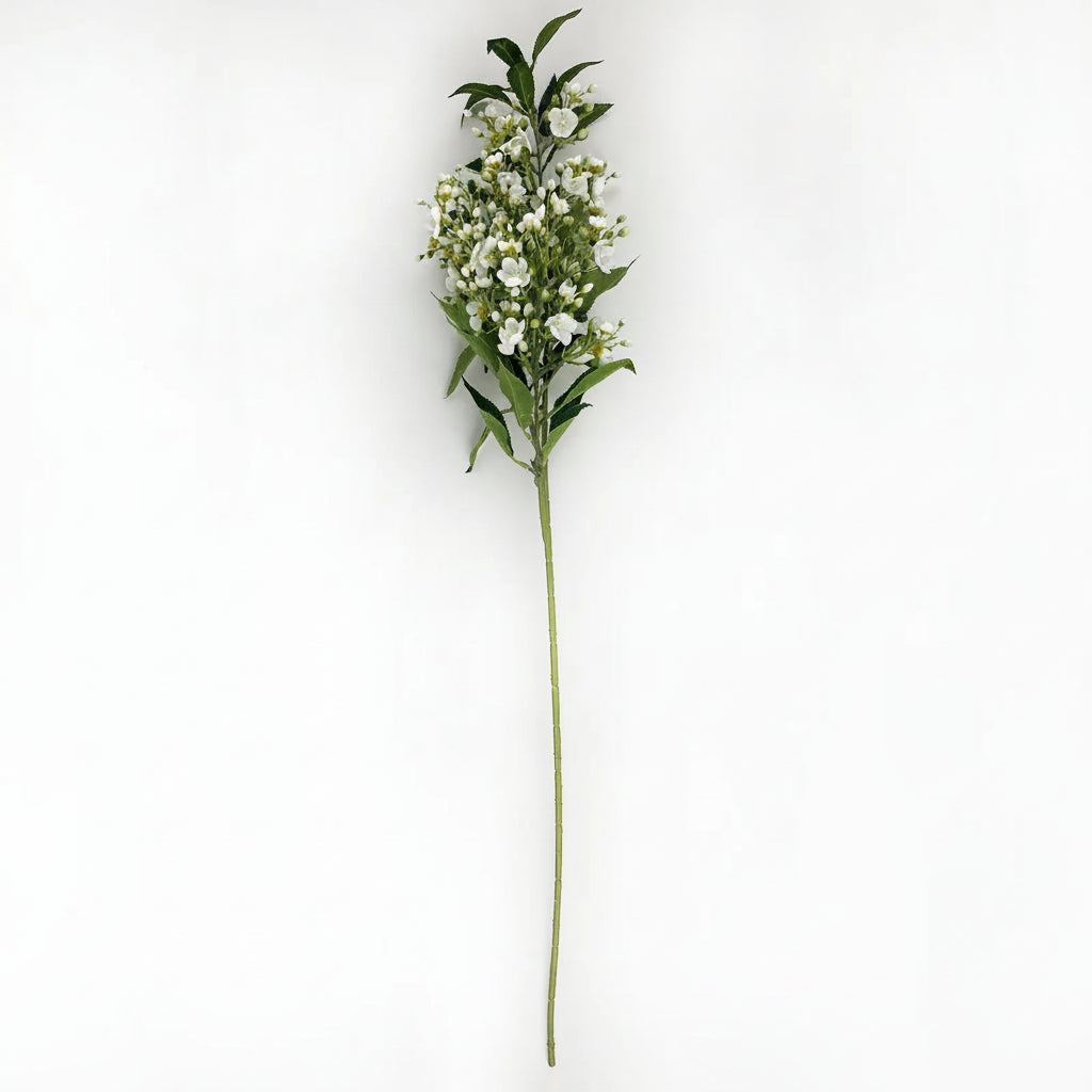 #2 White Tea Tree Branch