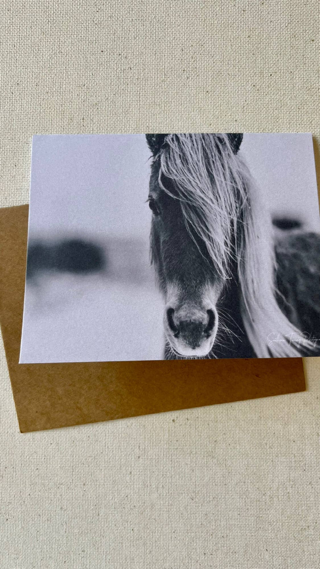 Horse notecards, Equestrian blank card set, stationery set