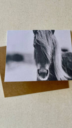 Horse notecards, Equestrian blank card set, stationery set