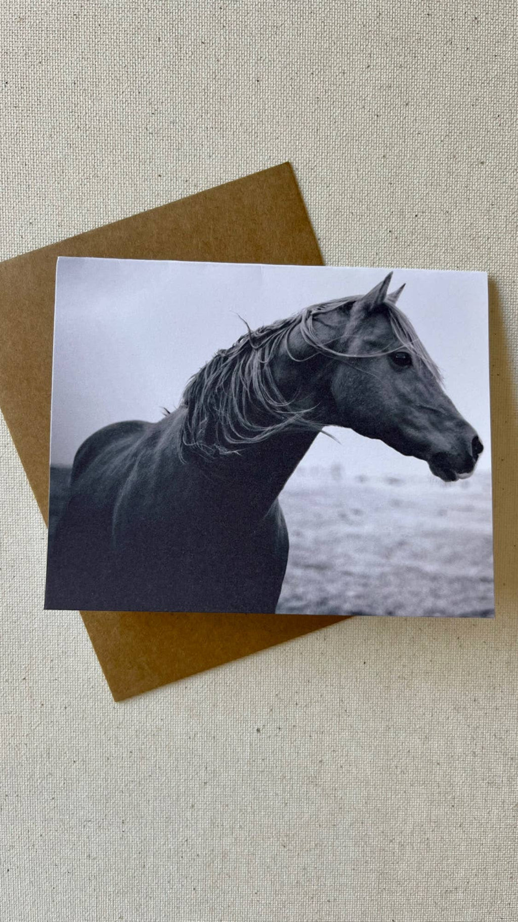 Horse notecards, Equestrian blank card set, stationery set