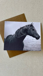 Horse notecards, Equestrian blank card set, stationery set