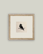 Crow Framed Antique Art: 9x9