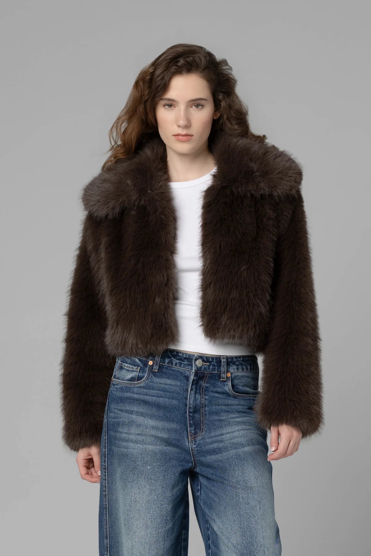 Steady Rise Fur