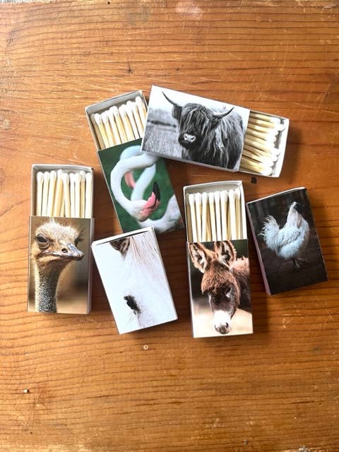 Candle matches, matchbox party favor, wedding favor,