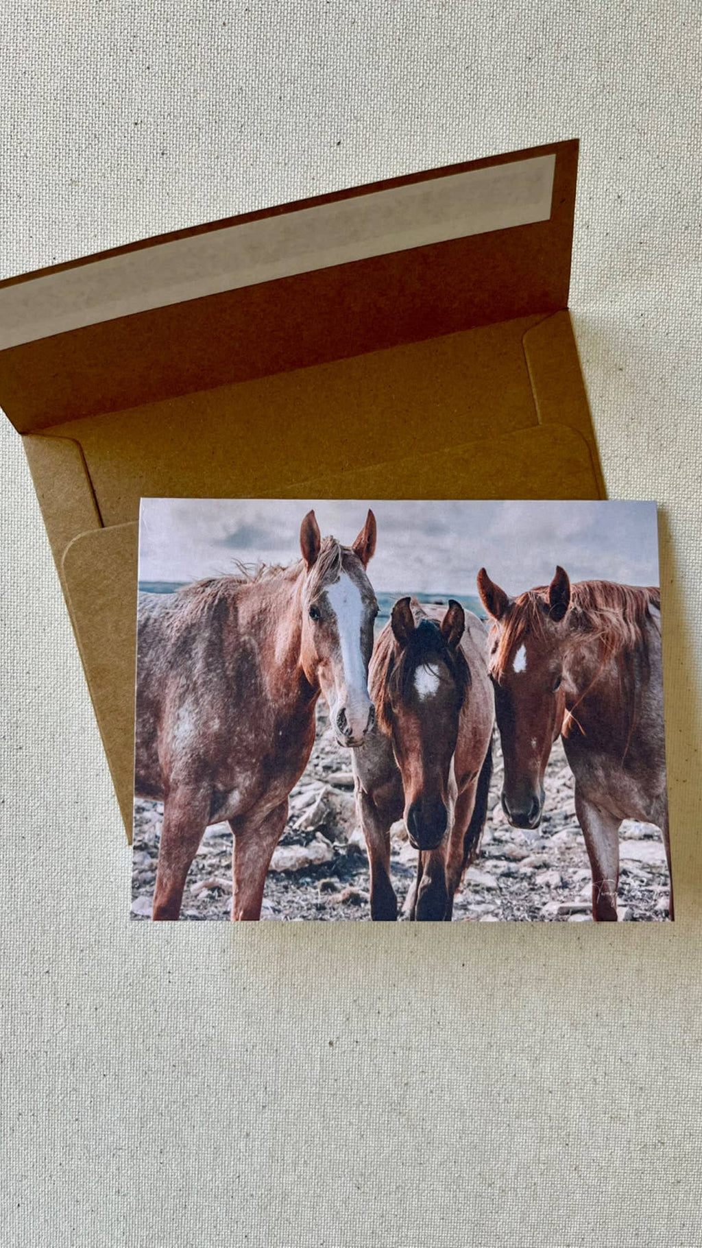Horse notecards, Equestrian blank card set, stationery set