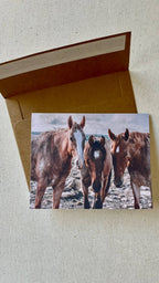 Horse notecards, Equestrian blank card set, stationery set