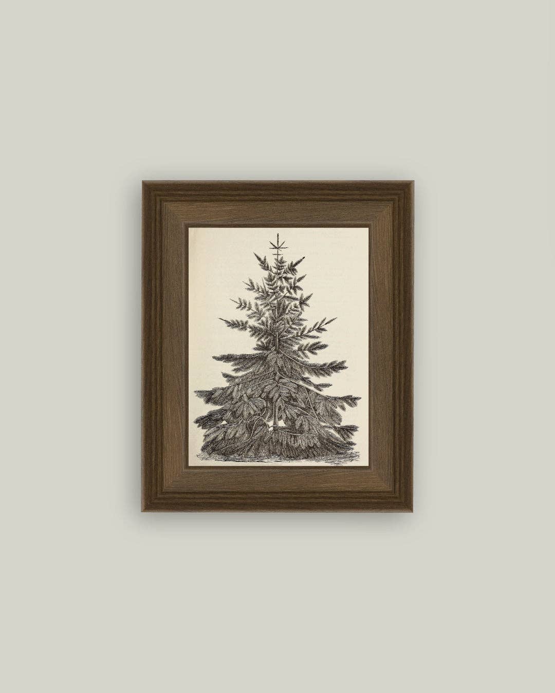 Vintage Pine Tree Framed Antique Art: 5x7