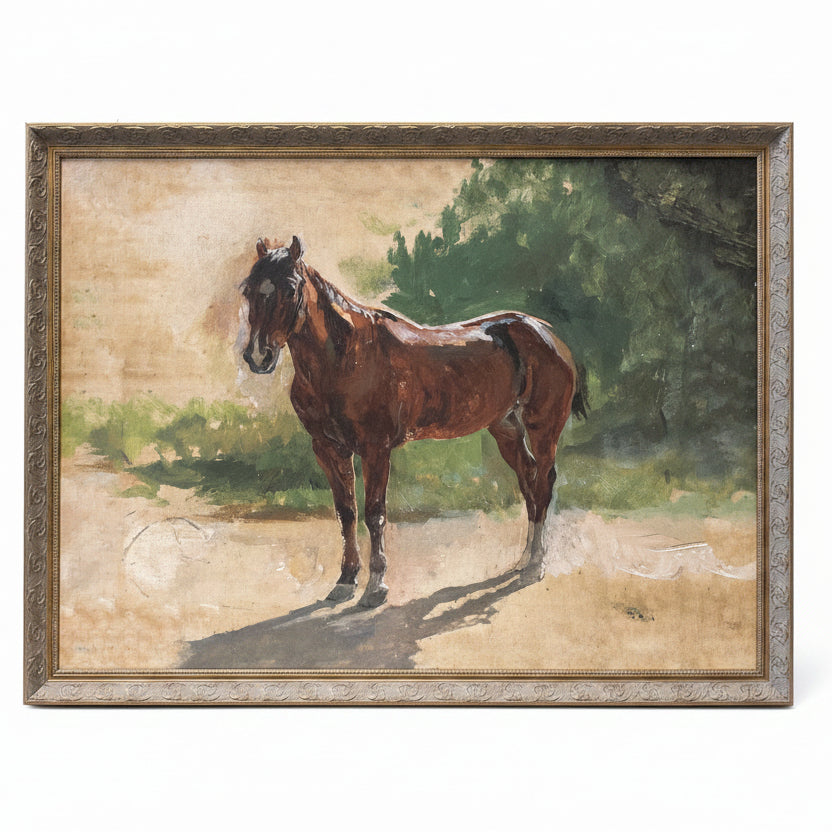 Brown Horse Study
