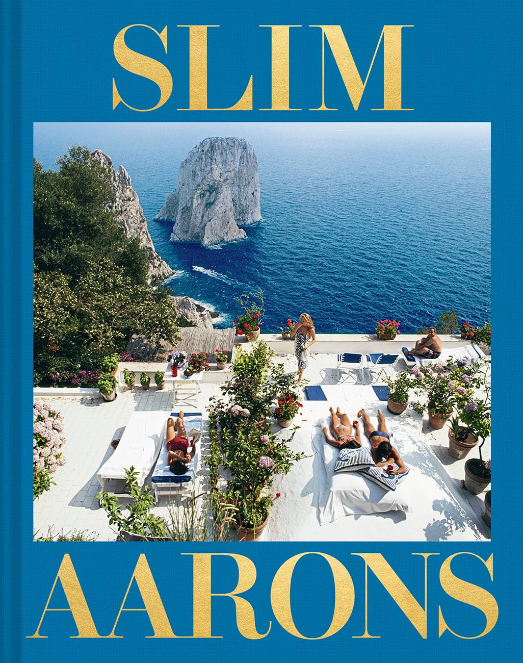 Book - Aaron Slims