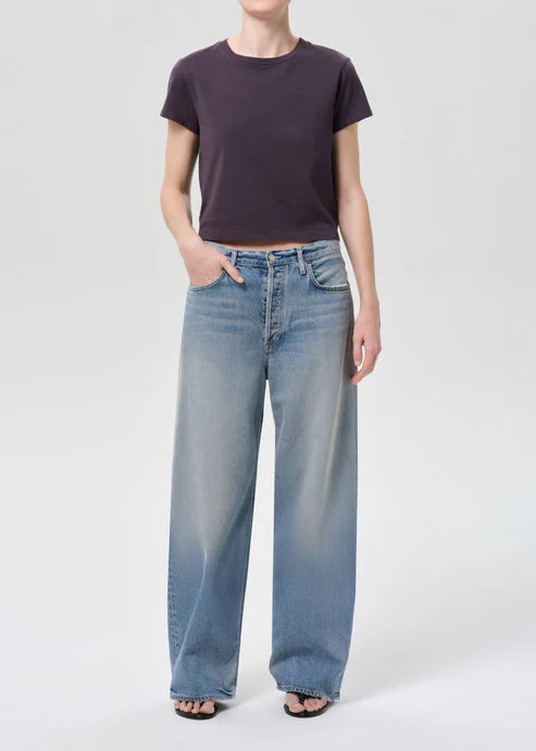 Agolde Low Slung Baggy in Reset