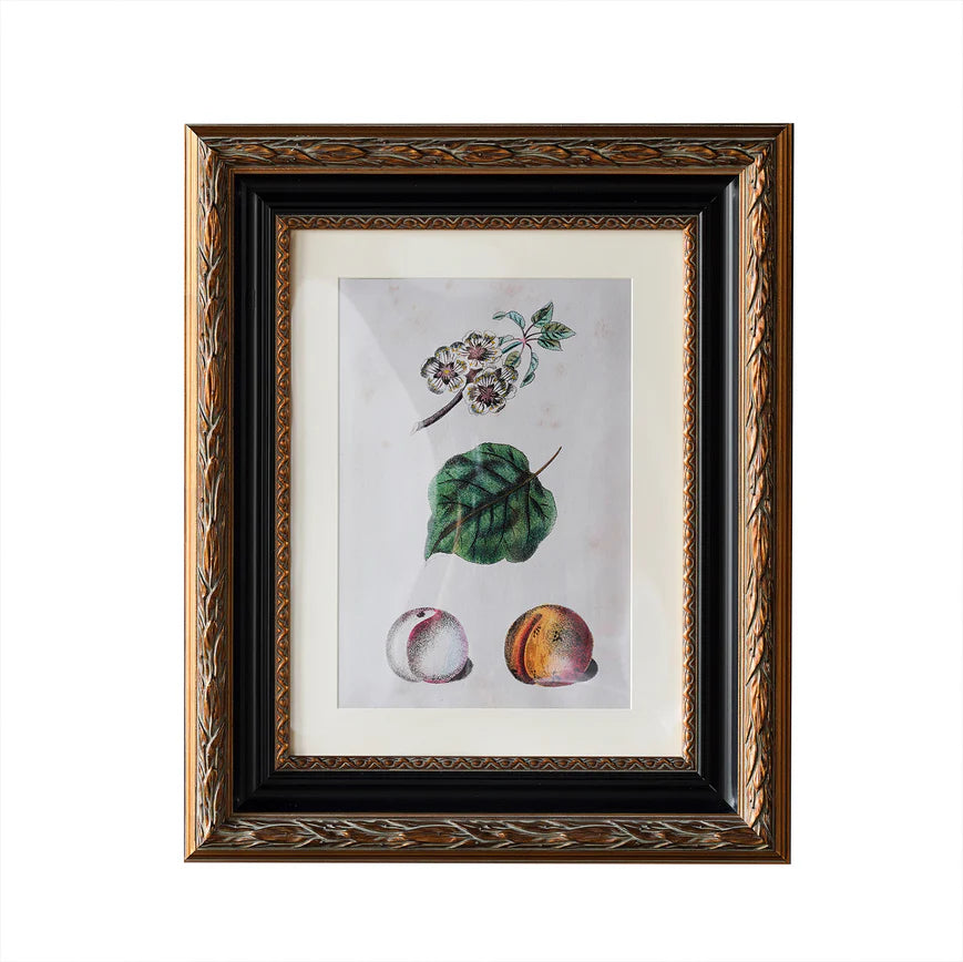Blackburn Matted Wall Frame 12"x16"