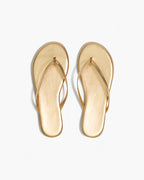TKEES Metallic