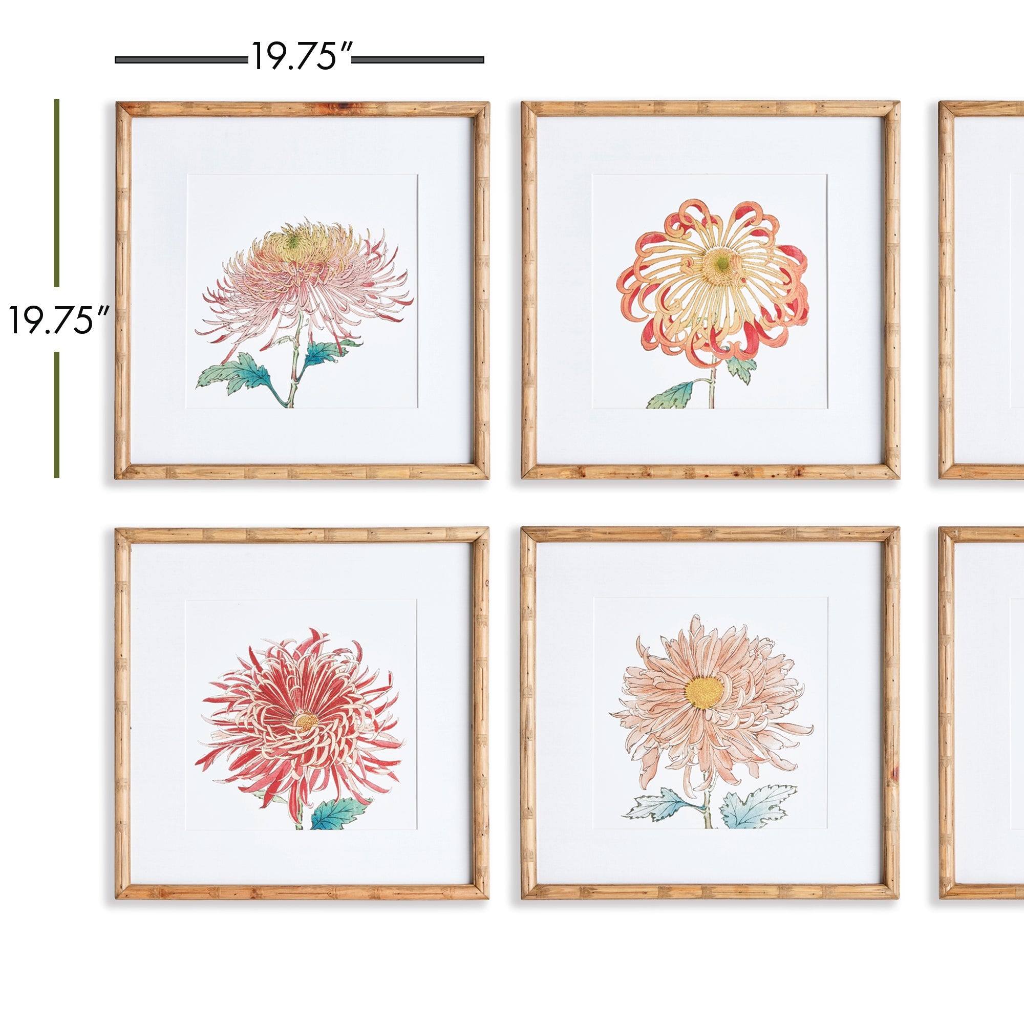 Colorful Chrysanthemum Prints, Set of 6, detail