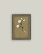 Tulip Stem: 7X9