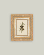 Bell with Pine Framed Antique Art: 7x9