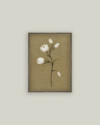 Tulip Stem: 7X9