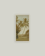 Vintage Palm Tree Photo: 10x19