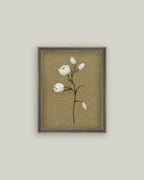Tulip Stem: 7X9