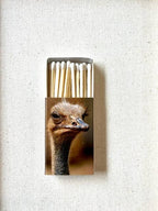 Candle matches, matchbox party favor, wedding favor,