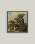 Painted Trees Framed Antique Art: 16x16