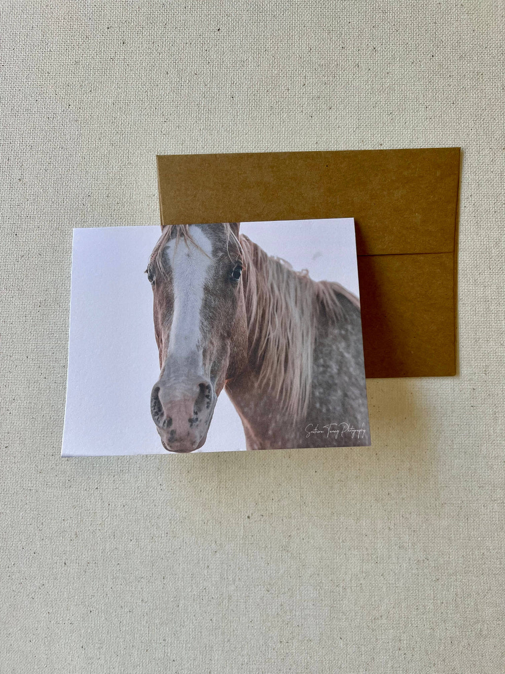 Horse notecards, Equestrian blank card set, stationery set