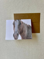 Horse notecards, Equestrian blank card set, stationery set