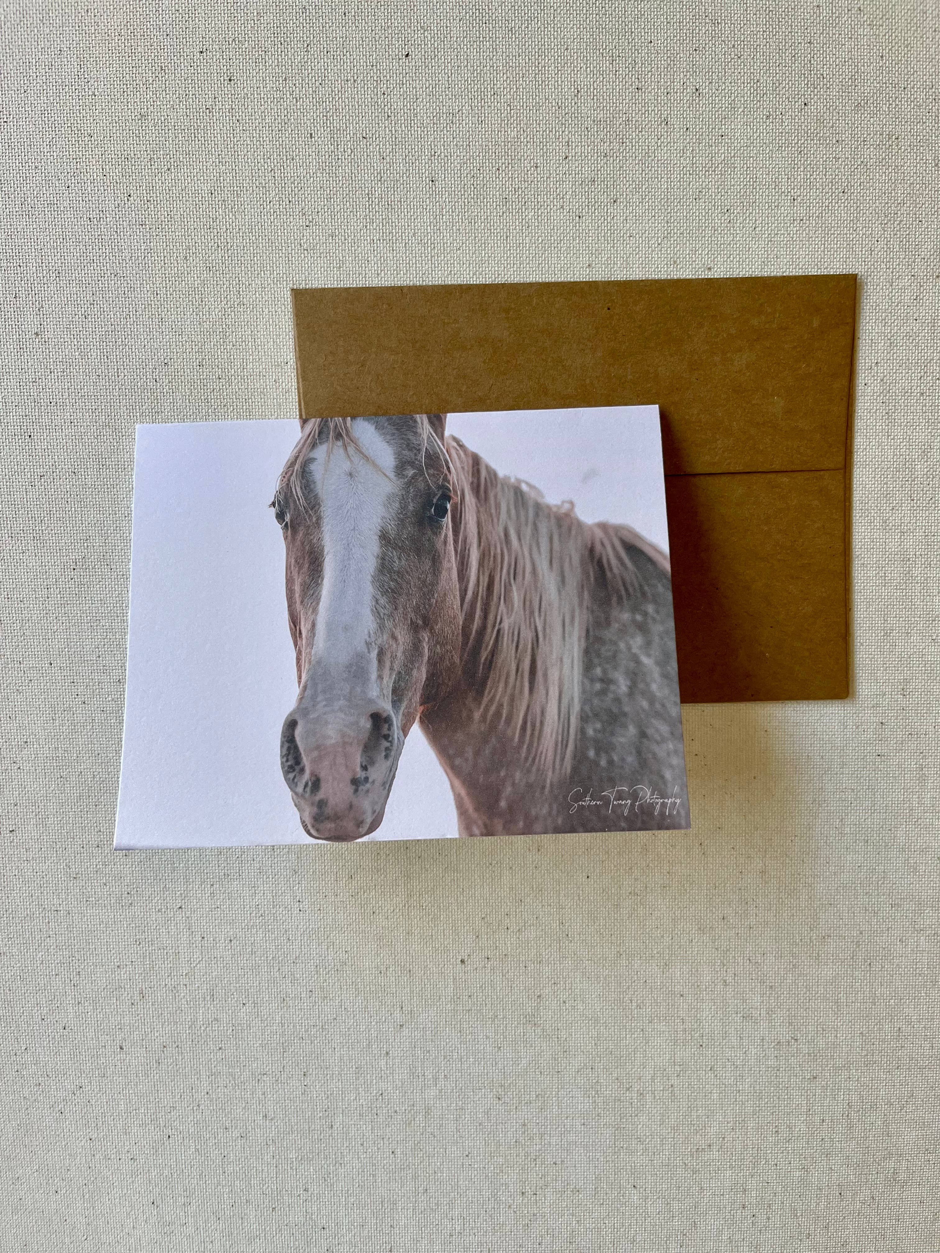 Horse notecards, Equestrian blank card set, stationery set
