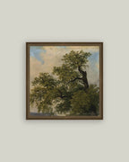 Painted Trees Framed Antique Art: 16x16