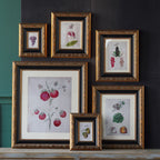 Blackburn Matted Wall Frame 20"x24"