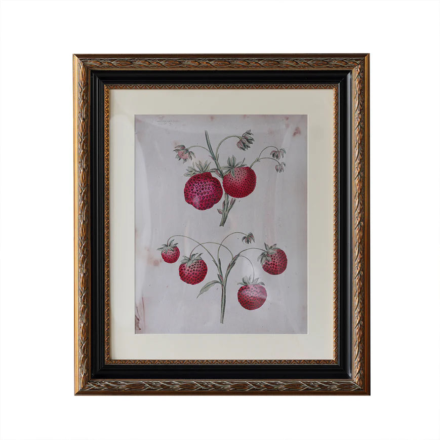 Blackburn Matted Wall Frame 20"x24"