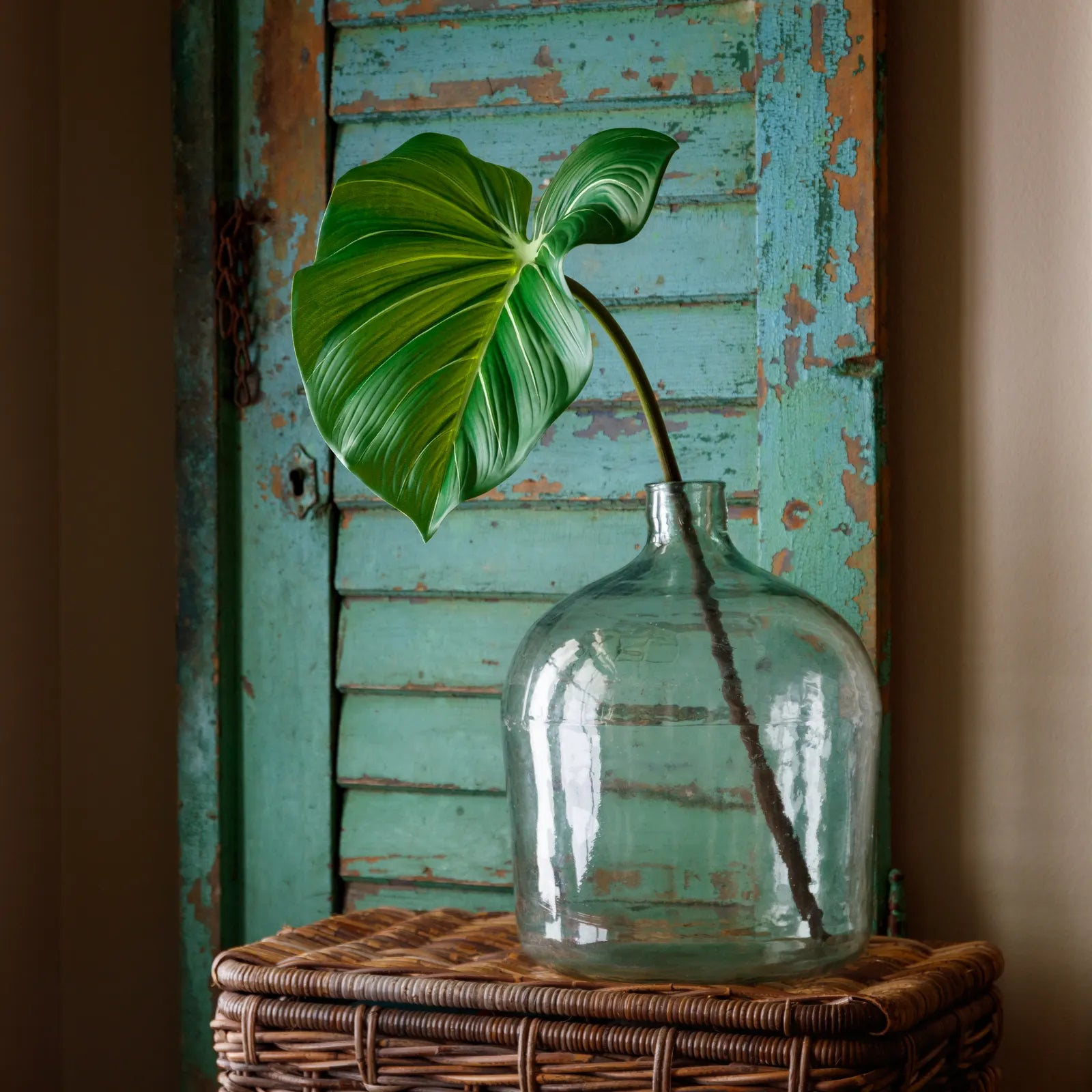 Small Colocasia Leaf