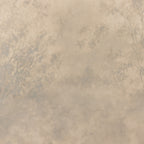 Artwork - The Clearing by Aileen Fitzgerald